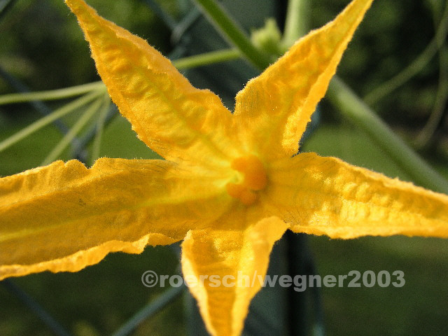 image95