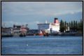 dsc_6488.jpg