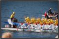 dsc_6911.jpg