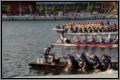 dsc_6926.jpg