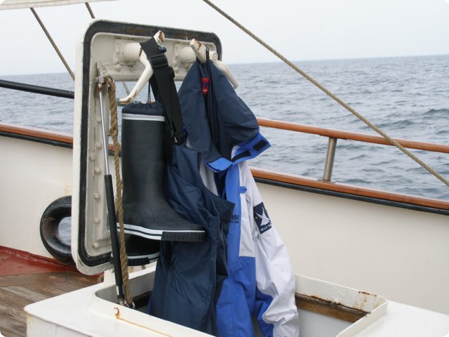 p9101178.jpg